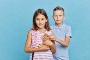 13 Spelletjes voor kinderen en huisdieren