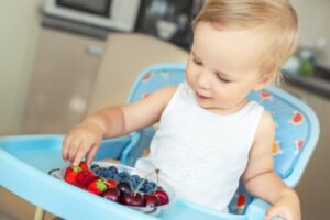 3 Vingerhapjes voor baby's