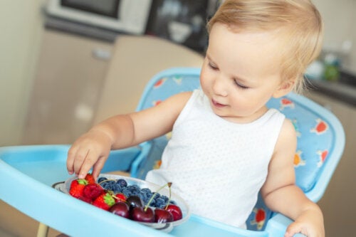 3 Vingerhapjes voor baby's