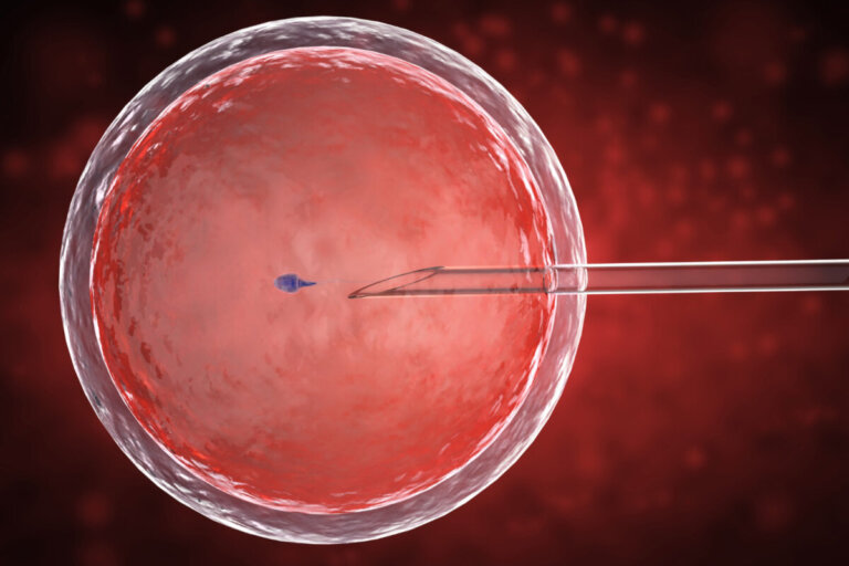 Geassisteerd moederschap: in-vitrofertilisatie en algemene mythes